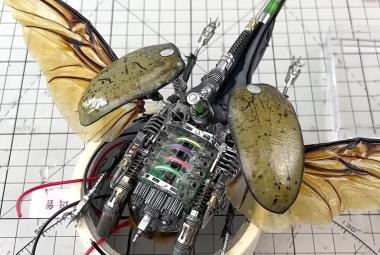 Robot kumbang