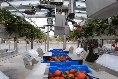 Teknologi pertanian